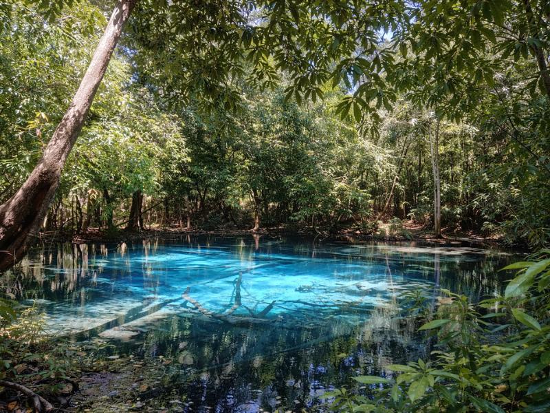 Krabi Full-Day Jungle Tour: Emerald Pool, Hot Springs & Tiger Cave Temple