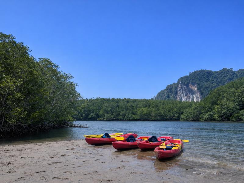 Krabi Kayak Tour: Deep Mangroves & Limestone Canyon Exploration